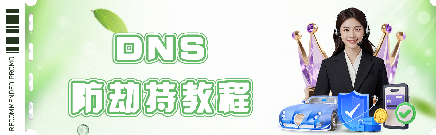 DNS防劫持教程